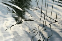 /album/vyberte-si-/img-0960-jpg/