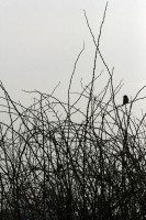 /album/vyberte-si-/img-9289-jpg/